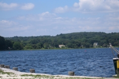 Team-Randy-week8-09-049