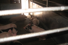 Team-Randy-2010-week-1-032