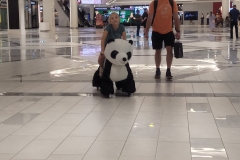 20250709_142242-scaled