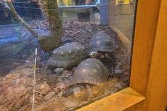 20250715_134931-scaled