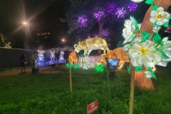 20250721_213411-scaled
