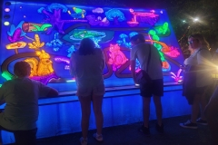 20250721_214443-scaled