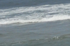 20250813_160504-scaled