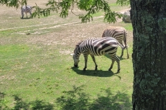 20260630_132703