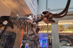 20260819_133048