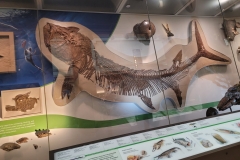 20260819_133308