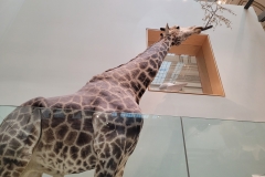 20260819_140034
