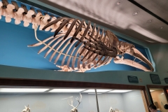 20260819_151244