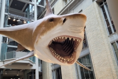 20260819_153453