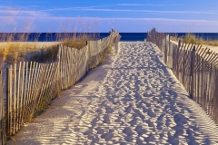 'Pathway and sea oats on beach at Santa Rosa Island near Pensacola, Florida' --- Image by © Ocean/Corbis