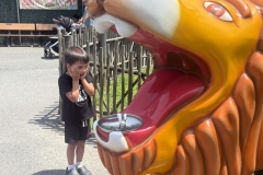 IMG_20260703_150806